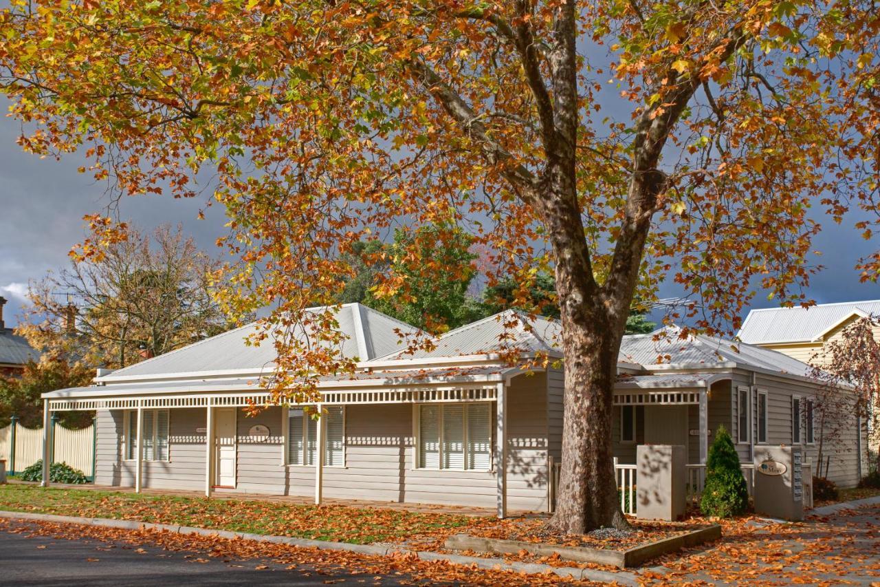 Mews Cottages Гисборн Экстерьер фото